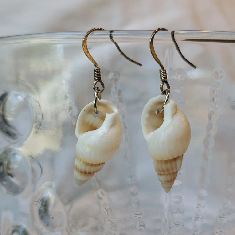 Natural seashell earrings. Handmade, Sterling Silver ear wire